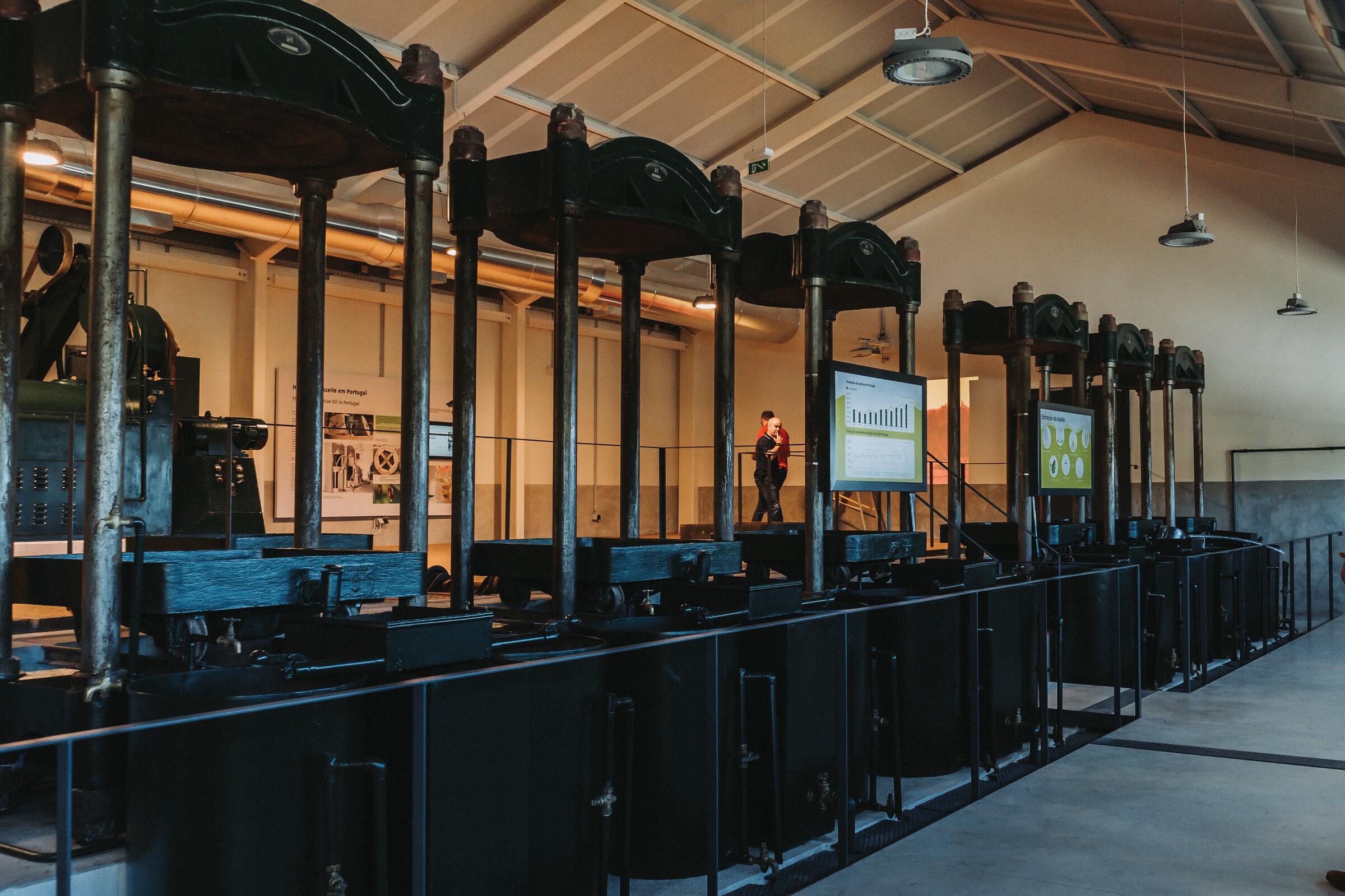 Centro Interpretativo D'Olival ao Azeite D'Ouro