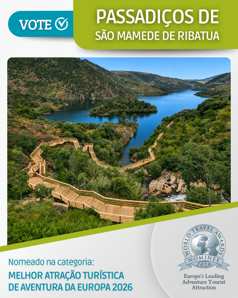 passadi&ccedil;os 1